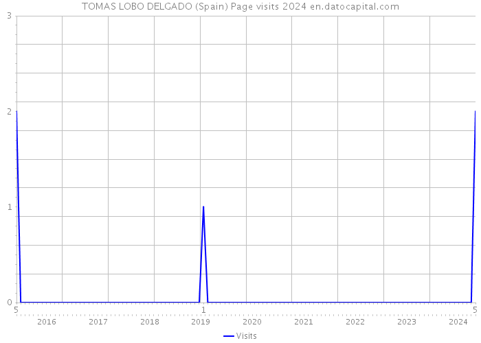 TOMAS LOBO DELGADO (Spain) Page visits 2024 