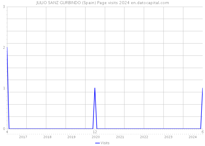 JULIO SANZ GURBINDO (Spain) Page visits 2024 