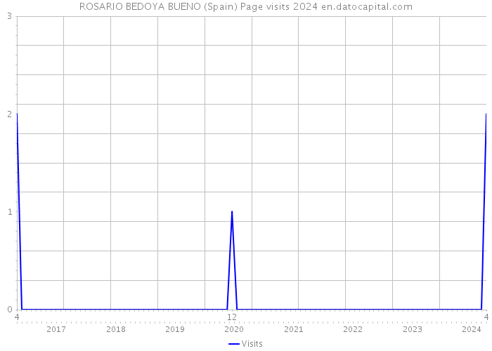 ROSARIO BEDOYA BUENO (Spain) Page visits 2024 