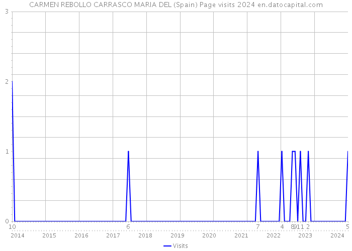 CARMEN REBOLLO CARRASCO MARIA DEL (Spain) Page visits 2024 