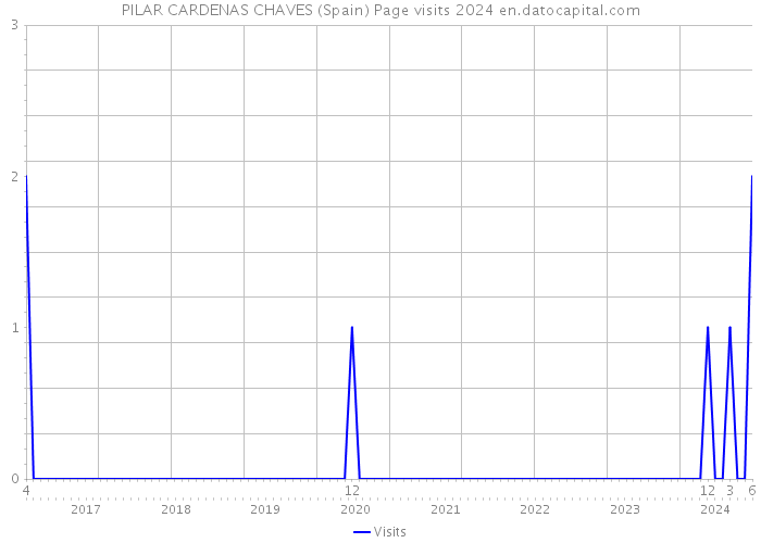 PILAR CARDENAS CHAVES (Spain) Page visits 2024 