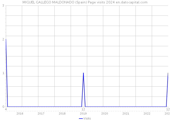 MIGUEL GALLEGO MALDONADO (Spain) Page visits 2024 