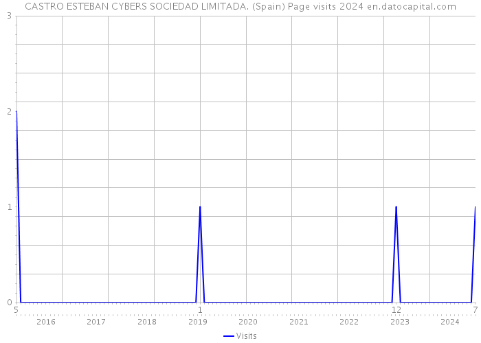 CASTRO ESTEBAN CYBERS SOCIEDAD LIMITADA. (Spain) Page visits 2024 