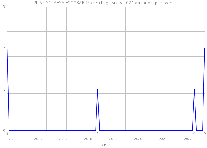 PILAR SOLAESA ESCOBAR (Spain) Page visits 2024 