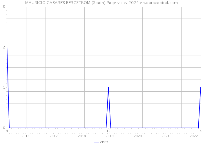 MAURICIO CASARES BERGSTROM (Spain) Page visits 2024 