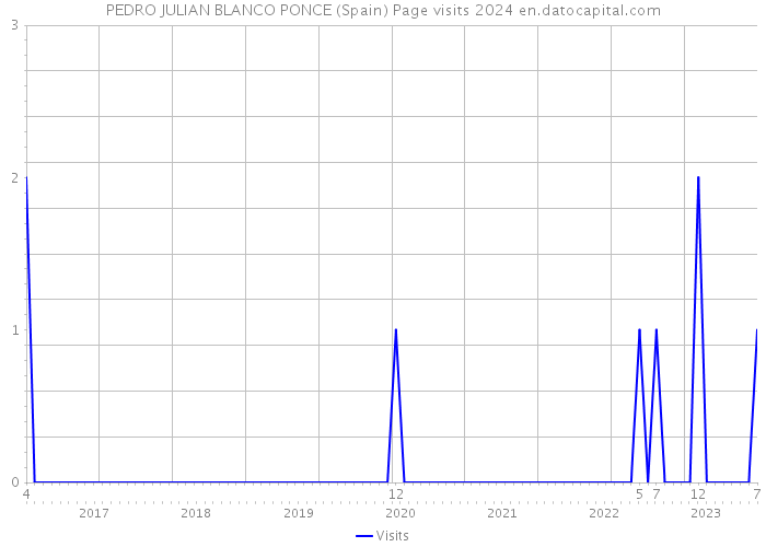 PEDRO JULIAN BLANCO PONCE (Spain) Page visits 2024 