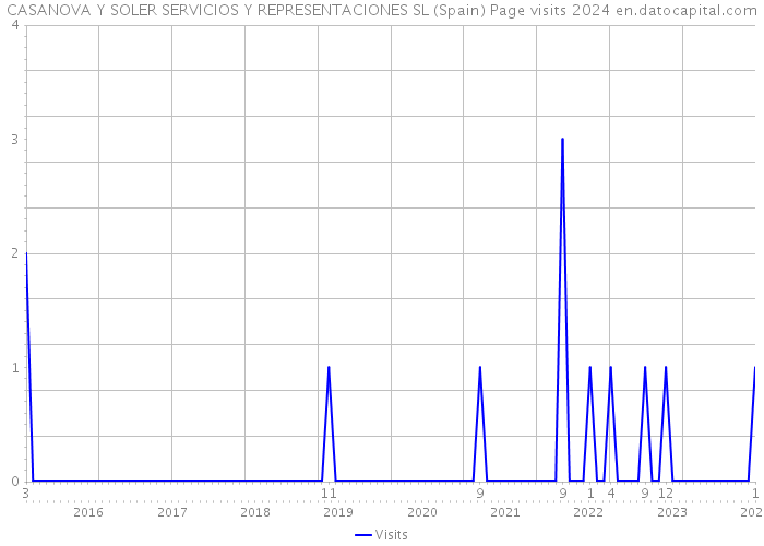 CASANOVA Y SOLER SERVICIOS Y REPRESENTACIONES SL (Spain) Page visits 2024 