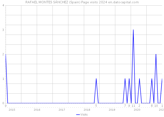 RAFAEL MONTES SÁNCHEZ (Spain) Page visits 2024 
