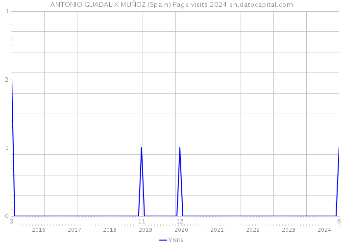 ANTONIO GUADALIX MUÑOZ (Spain) Page visits 2024 