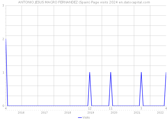 ANTONIO JESUS MAGRO FERNANDEZ (Spain) Page visits 2024 