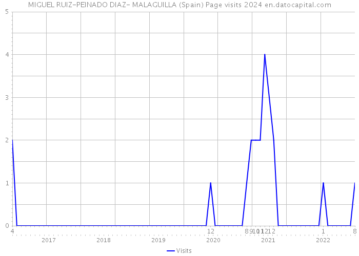 MIGUEL RUIZ-PEINADO DIAZ- MALAGUILLA (Spain) Page visits 2024 