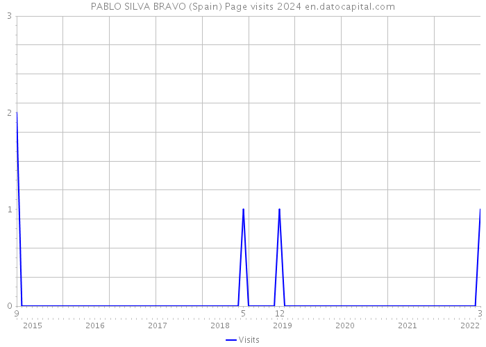 PABLO SILVA BRAVO (Spain) Page visits 2024 