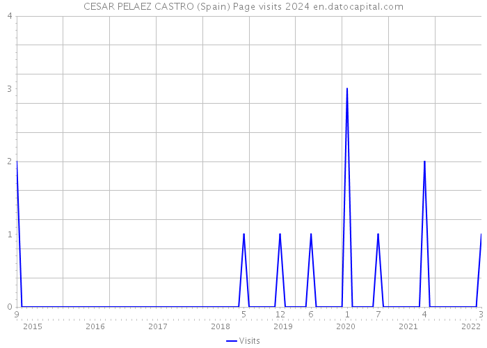 CESAR PELAEZ CASTRO (Spain) Page visits 2024 