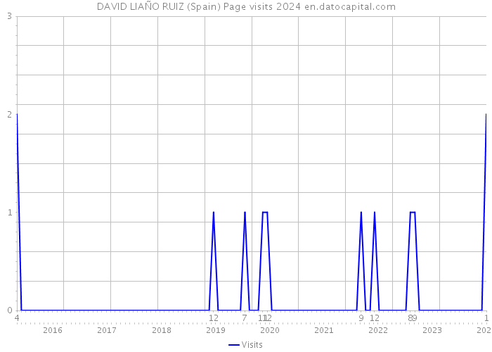 DAVID LIAÑO RUIZ (Spain) Page visits 2024 