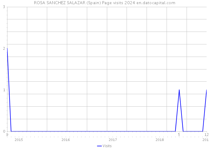 ROSA SANCHEZ SALAZAR (Spain) Page visits 2024 