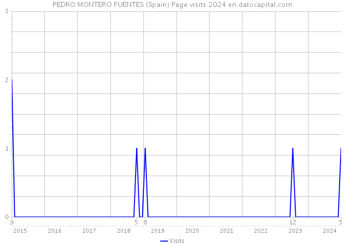 PEDRO MONTERO FUENTES (Spain) Page visits 2024 