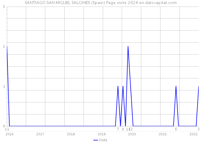 SANTIAGO SAN MIGUEL SALCINES (Spain) Page visits 2024 