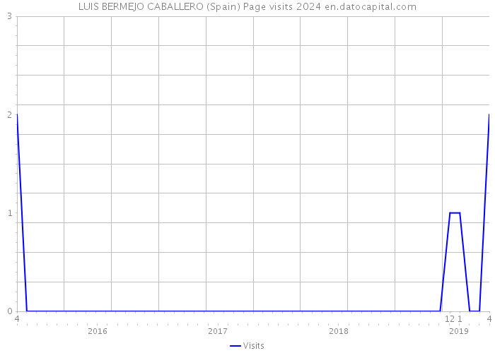 LUIS BERMEJO CABALLERO (Spain) Page visits 2024 