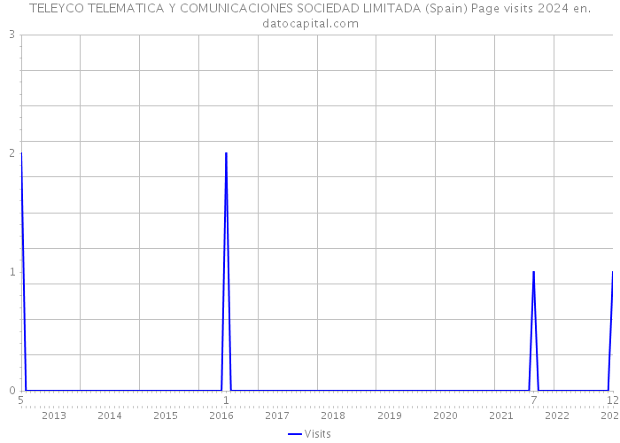 TELEYCO TELEMATICA Y COMUNICACIONES SOCIEDAD LIMITADA (Spain) Page visits 2024 