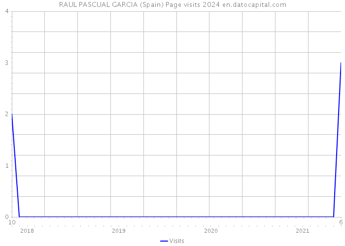 RAUL PASCUAL GARCIA (Spain) Page visits 2024 