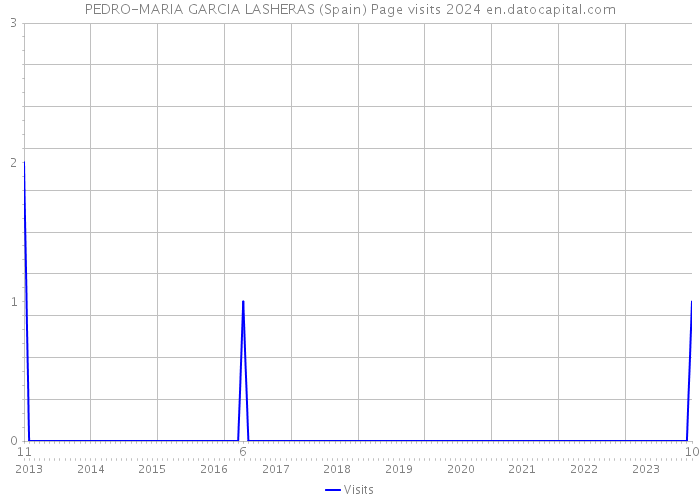 PEDRO-MARIA GARCIA LASHERAS (Spain) Page visits 2024 