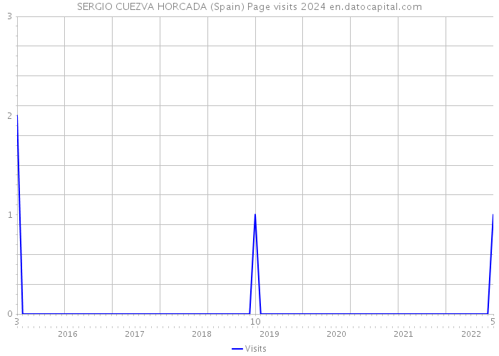 SERGIO CUEZVA HORCADA (Spain) Page visits 2024 