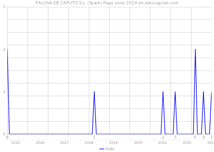 FALOSA DE CAPUTO S.L. (Spain) Page visits 2024 