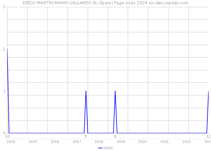 DIEGO MARTIN MARIN GALLARDO SL (Spain) Page visits 2024 