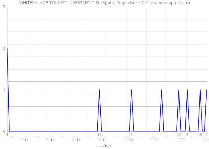 WHITEPALACE TOURIST INVESTMENT SL (Spain) Page visits 2024 