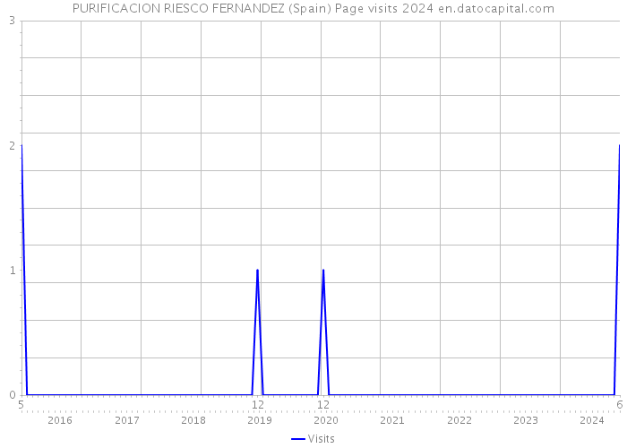 PURIFICACION RIESCO FERNANDEZ (Spain) Page visits 2024 