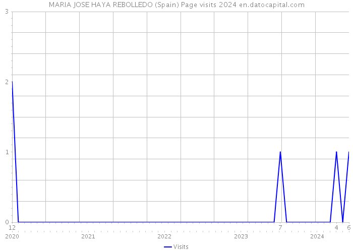 MARIA JOSE HAYA REBOLLEDO (Spain) Page visits 2024 