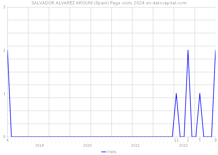 SALVADOR ALVAREZ AROUNI (Spain) Page visits 2024 