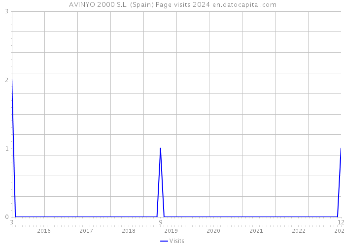 AVINYO 2000 S.L. (Spain) Page visits 2024 