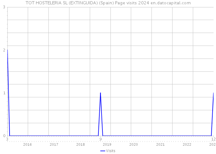 TOT HOSTELERIA SL (EXTINGUIDA) (Spain) Page visits 2024 