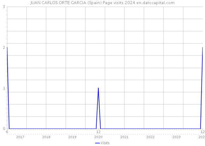 JUAN CARLOS ORTE GARCIA (Spain) Page visits 2024 