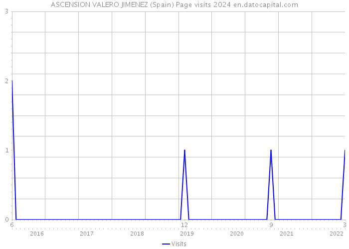 ASCENSION VALERO JIMENEZ (Spain) Page visits 2024 