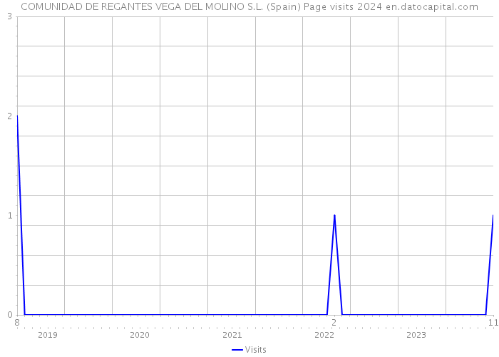 COMUNIDAD DE REGANTES VEGA DEL MOLINO S.L. (Spain) Page visits 2024 