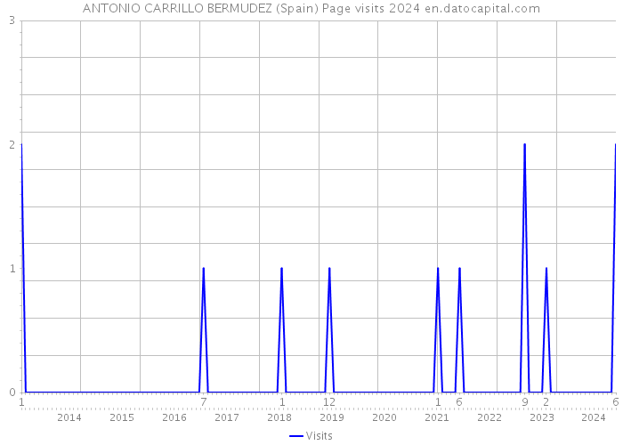 ANTONIO CARRILLO BERMUDEZ (Spain) Page visits 2024 