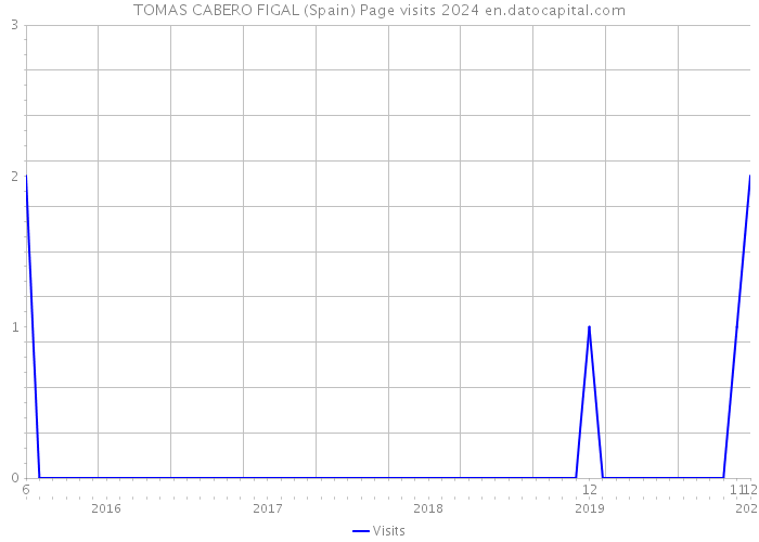 TOMAS CABERO FIGAL (Spain) Page visits 2024 