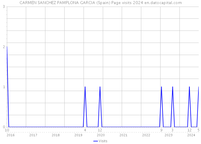 CARMEN SANCHEZ PAMPLONA GARCIA (Spain) Page visits 2024 