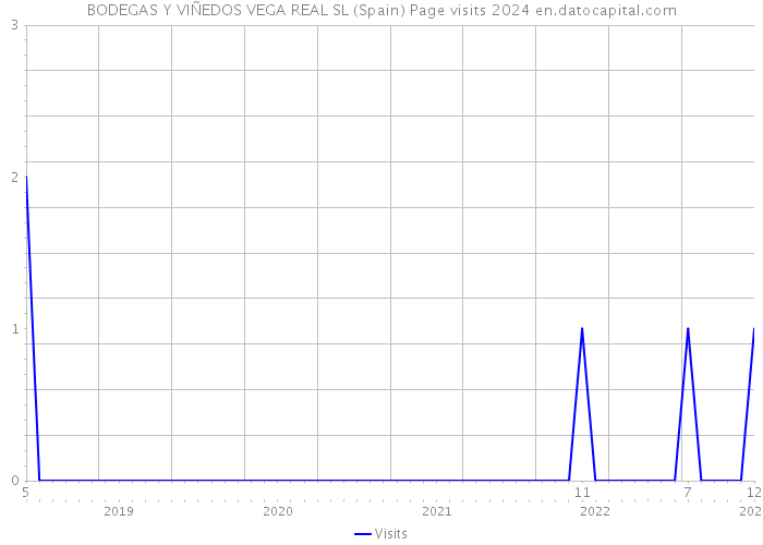 BODEGAS Y VIÑEDOS VEGA REAL SL (Spain) Page visits 2024 