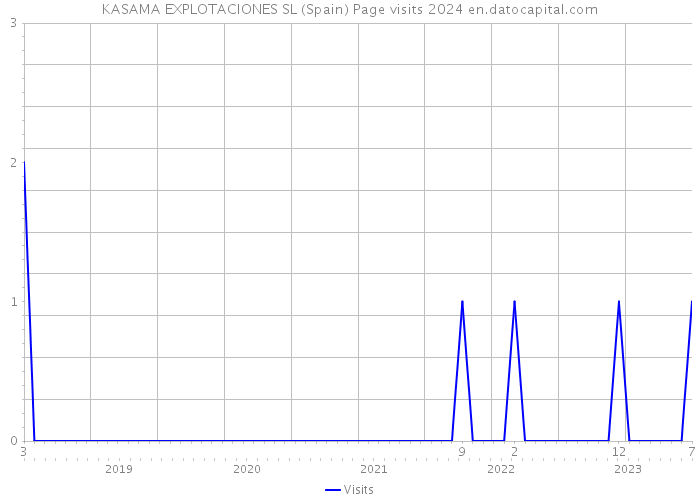 KASAMA EXPLOTACIONES SL (Spain) Page visits 2024 