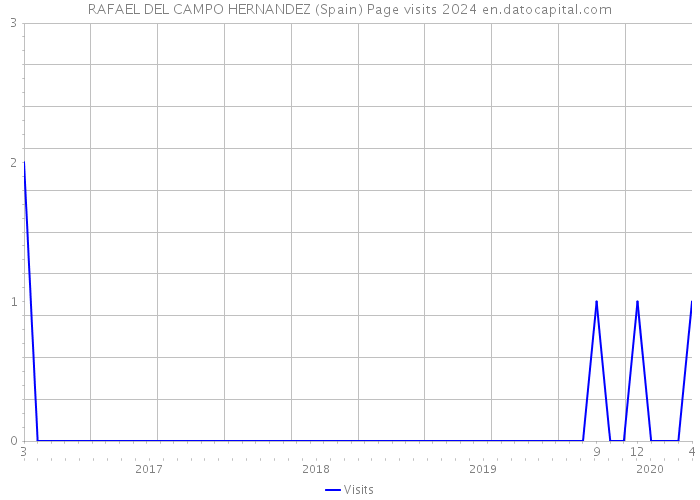 RAFAEL DEL CAMPO HERNANDEZ (Spain) Page visits 2024 