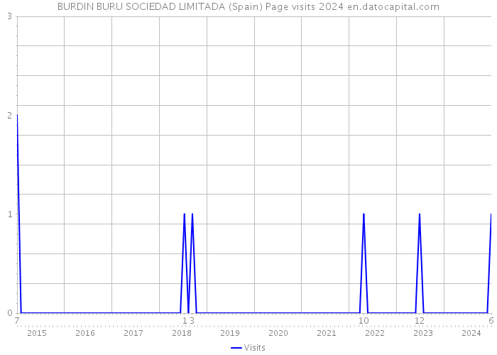 BURDIN BURU SOCIEDAD LIMITADA (Spain) Page visits 2024 