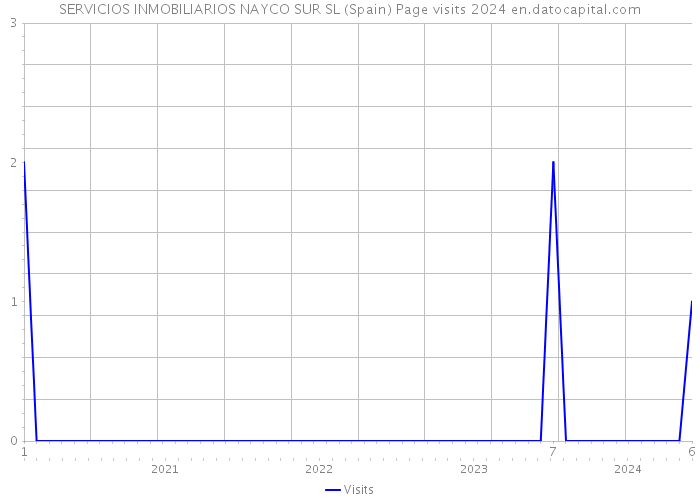 SERVICIOS INMOBILIARIOS NAYCO SUR SL (Spain) Page visits 2024 