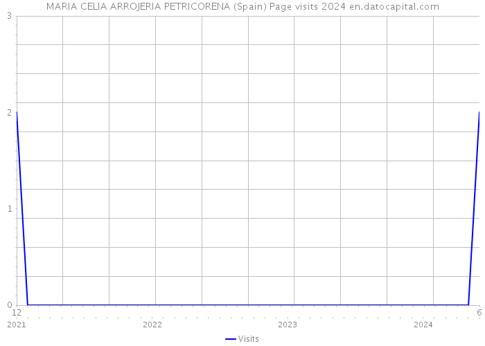 MARIA CELIA ARROJERIA PETRICORENA (Spain) Page visits 2024 