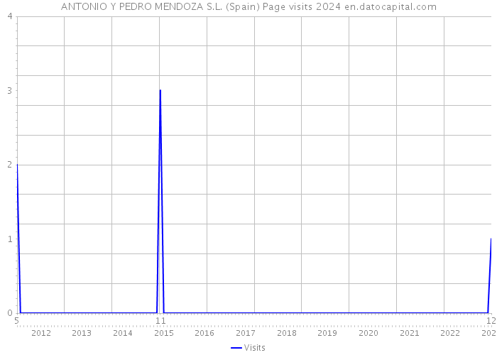 ANTONIO Y PEDRO MENDOZA S.L. (Spain) Page visits 2024 