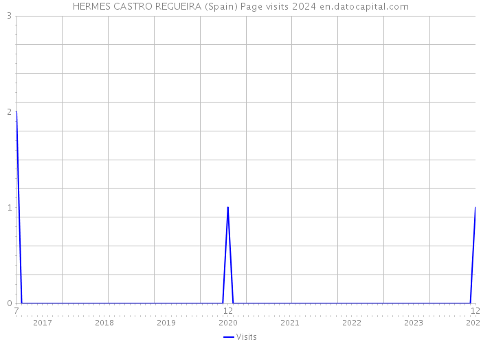 HERMES CASTRO REGUEIRA (Spain) Page visits 2024 