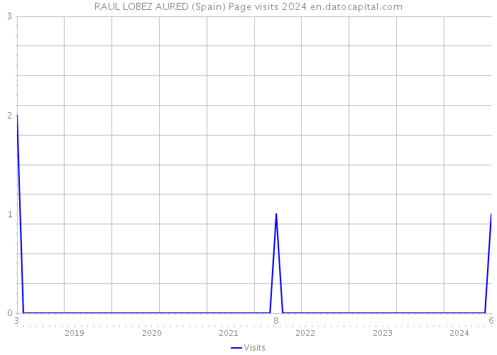 RAUL LOBEZ AURED (Spain) Page visits 2024 