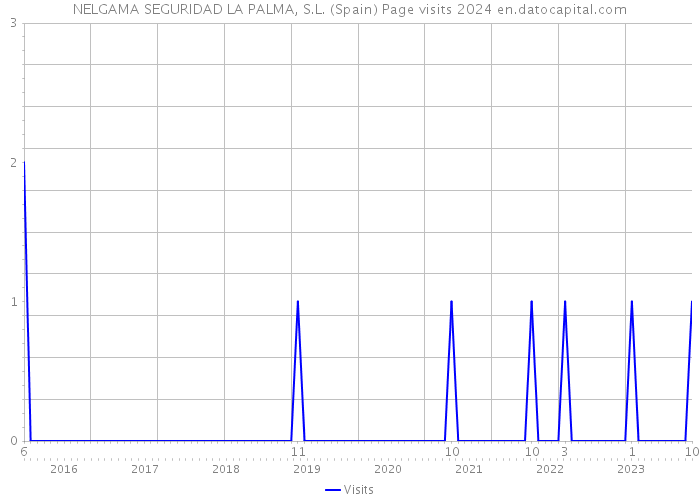 NELGAMA SEGURIDAD LA PALMA, S.L. (Spain) Page visits 2024 